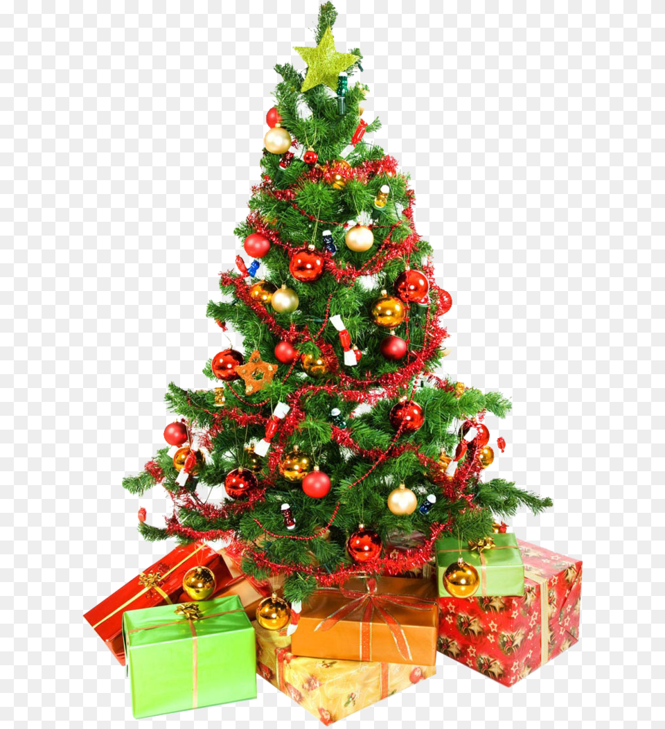Xmas Tree 12 By Iamszissz White Background Christmas Tree, Plant, Christmas Decorations, Festival, Christmas Tree Png