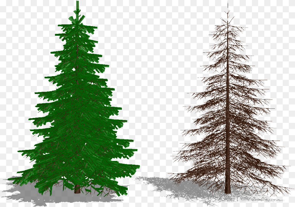 Xmas Tree Type 02 By Arisumatio Christmas Tree, Fir, Pine, Plant, Conifer Free Png