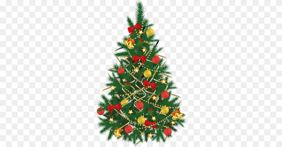 Xmas Trees Christmas Tree Images, Plant, Christmas Decorations, Festival, Christmas Tree Free Png