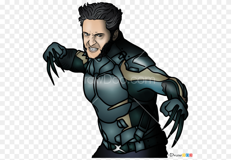 Xmen Drawing Wolverine Wolverine Hugh Jackman Drawing, Adult, Person, Woman, Female Free Transparent Png