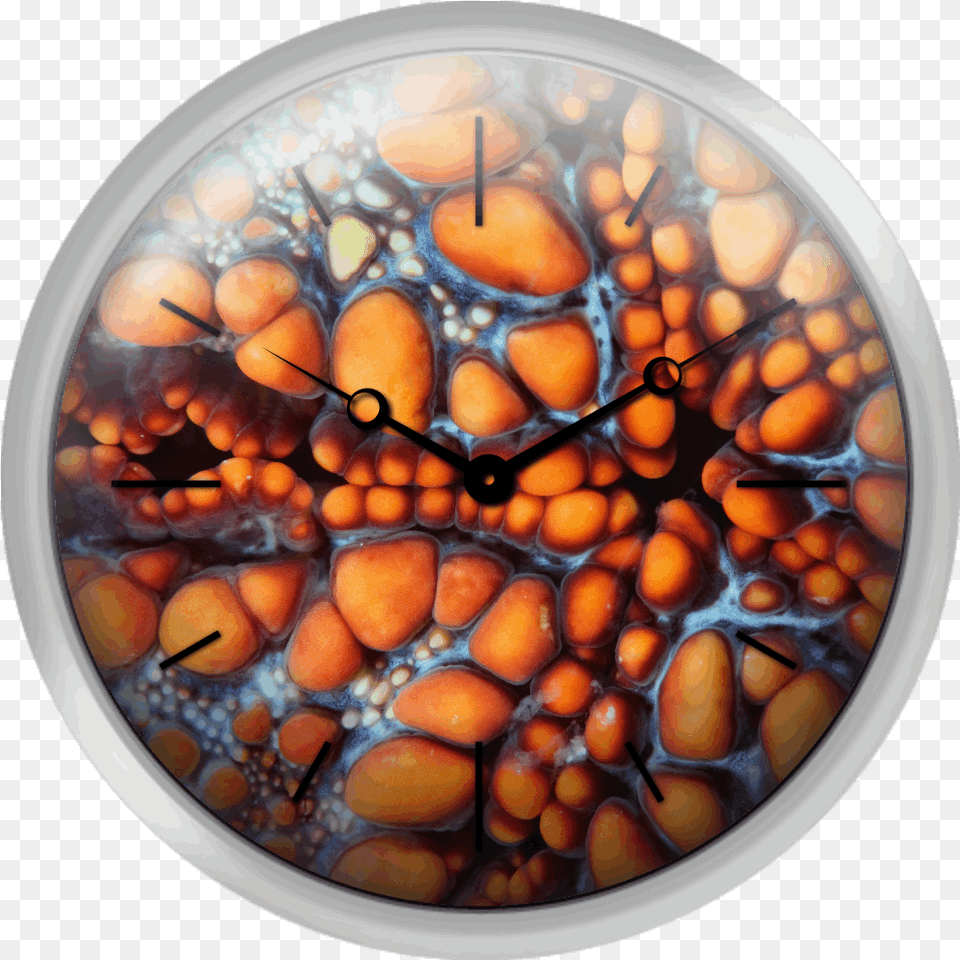 Xpress Clocks Gallery Sea Star Stained Glass, Clock, Plate Free Transparent Png