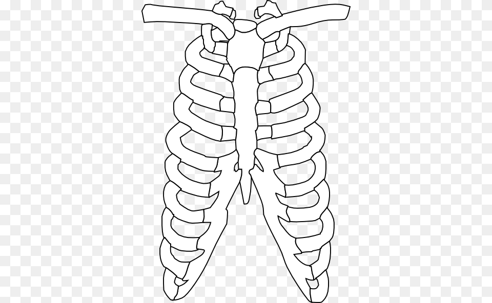 Xray Clipart Png Image