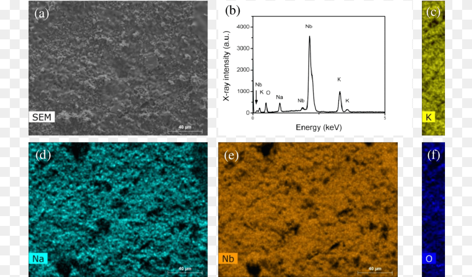 Xrd Spectra Of Polycrystalline And Textured Li Ceramic, Soil Free Png Download