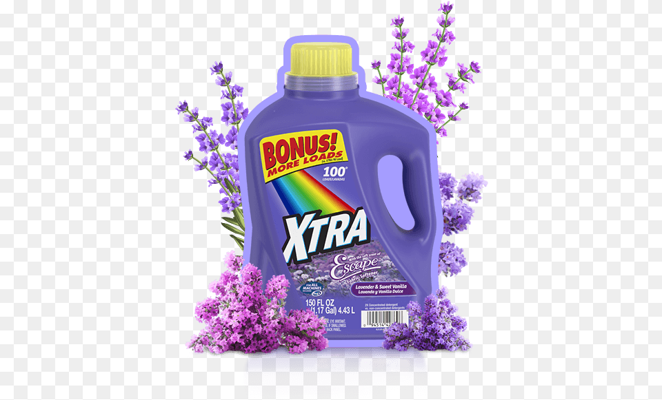 Xtra Plus Oxiclean Stain Fighters Crystal Clean, Flower, Plant, Purple, Lavender Free Png Download