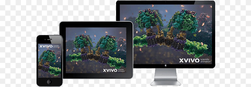 Xvivo Medical Animation Cycle Genious Cycleops Virtual Training, Computer, Electronics, Mobile Phone, Phone Free Png Download