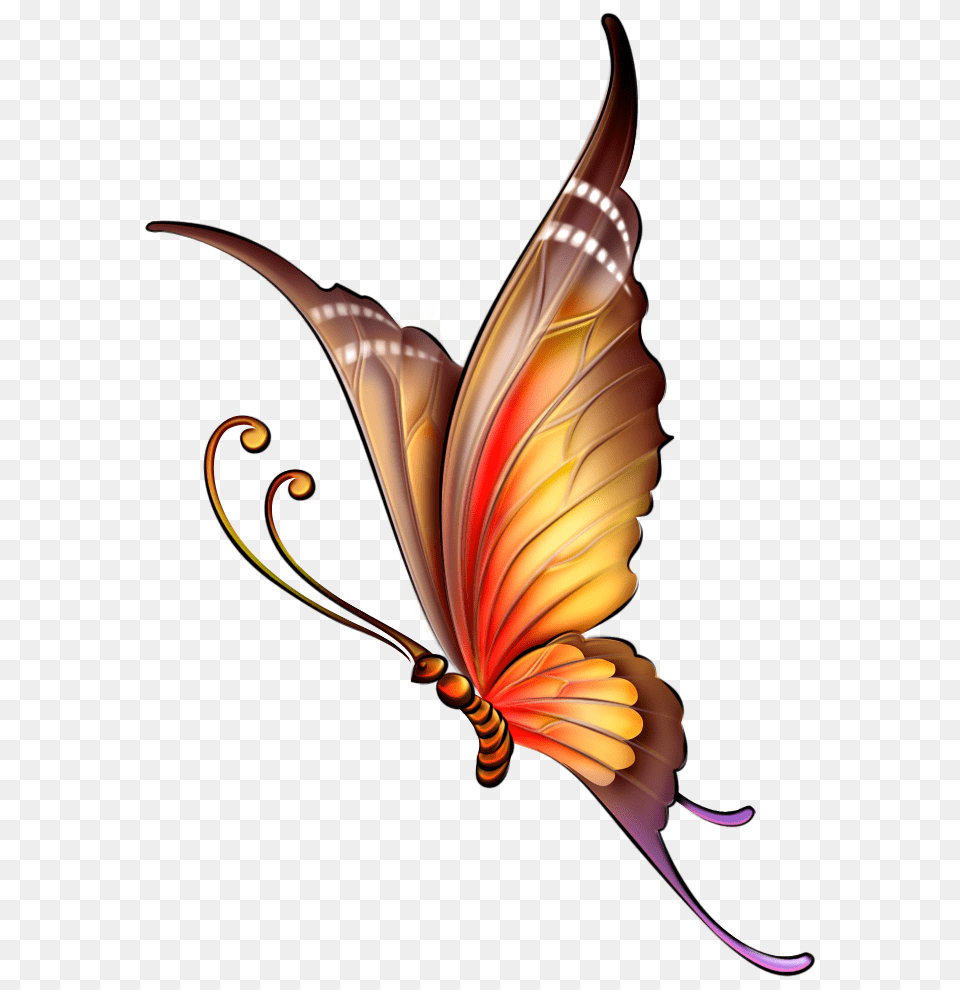Xxl Butterfly Printables, Art, Floral Design, Graphics, Pattern Free Transparent Png