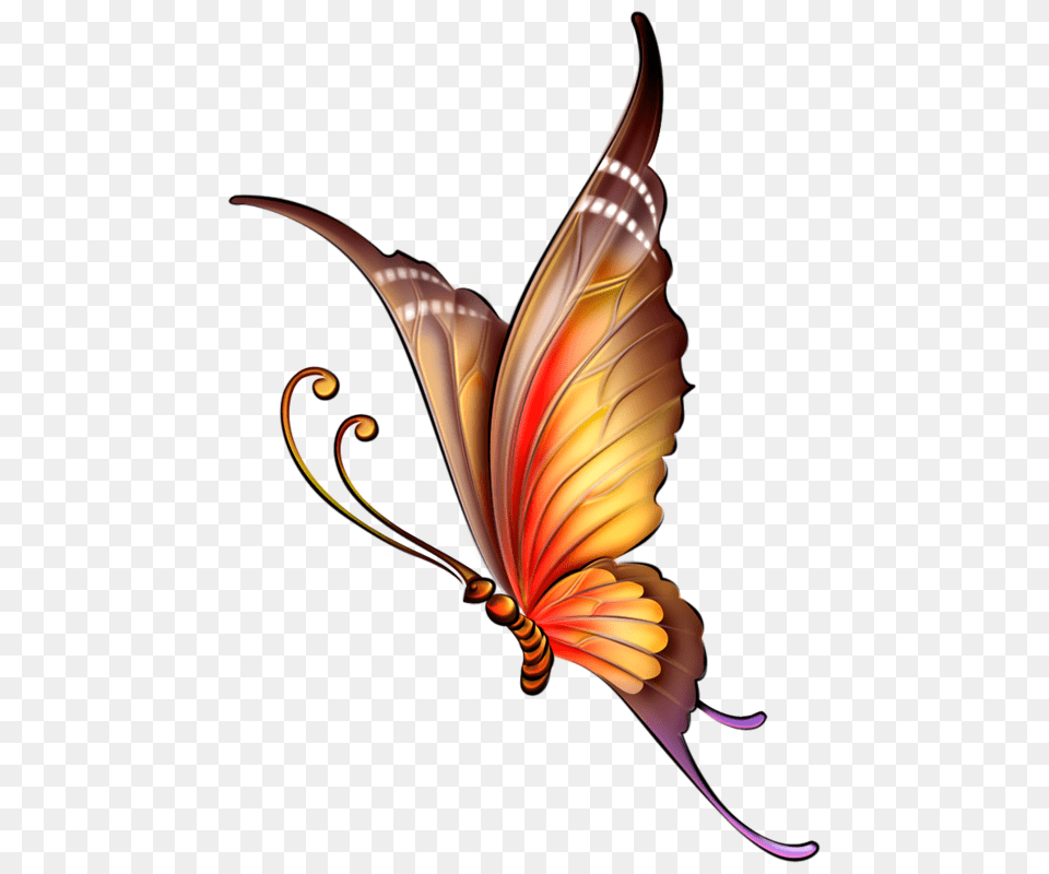 Xxl Butterfly Tattoo And Clip Art, Floral Design, Graphics, Pattern, Accessories Free Png Download