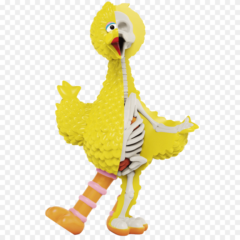 Xxray Plus Sesame Street Big Bird U2013 Mighty Jaxx Semesame Street Big Bird, Animal, Beak, Toy Free Transparent Png