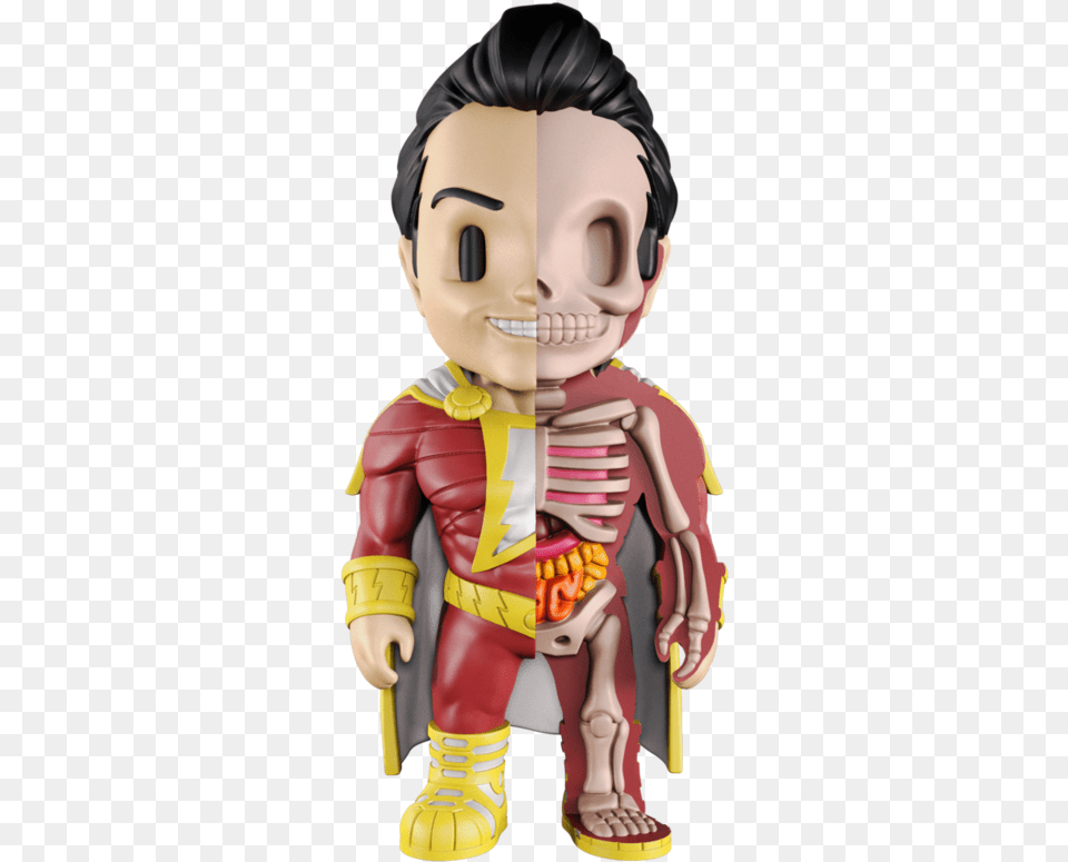 Xxray Shazam Toypocalypse Jason Freeny, Baby, Person, Face, Head Free Png