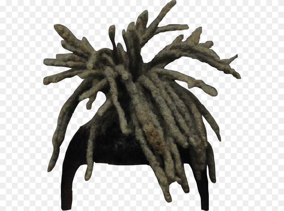 Xxxtentacion Dreads Dreads, Animal, Invertebrate, Spider, Insect Free Png