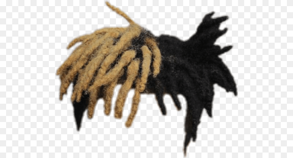 Xxxtentacion Dreads Xxxtentacion Hair, Animal, Canine, Dog, Mammal Free Png