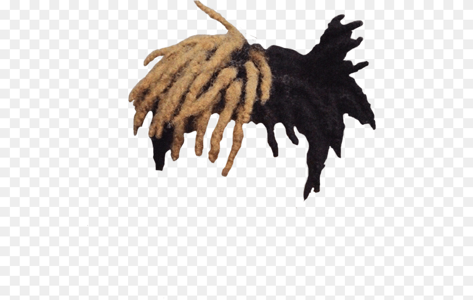 Xxxtentacion Dreads Xxxtentacion Hair Transparent Background, Plant, Tree, Electronics, Hardware Free Png