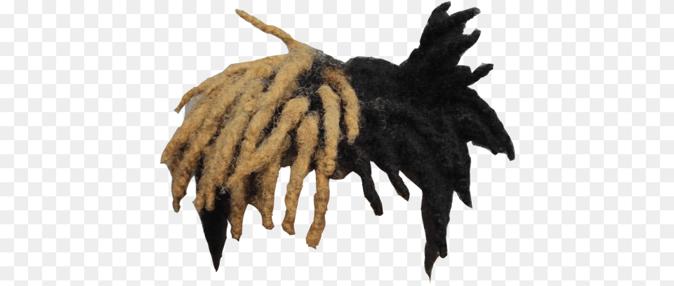 Xxxtentacion Hair 6 Image Xxxtentacion Hair Electronics, Hardware, Animal, Canine Free Transparent Png