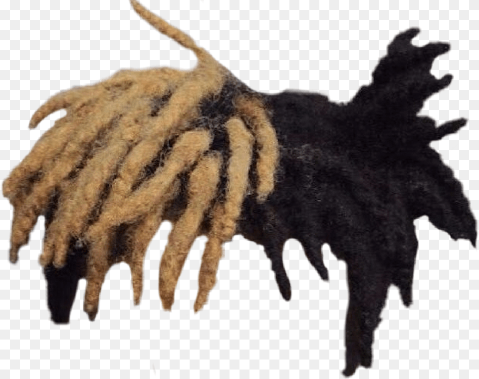 Xxxtentacion Hair Background, Animal, Canine, Dog, Mammal Free Transparent Png