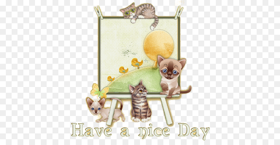 Y Cat, Animal, Mammal, Pet Png Image