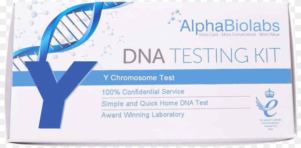 Y Chromosome Test, Text, Paper Free Transparent Png