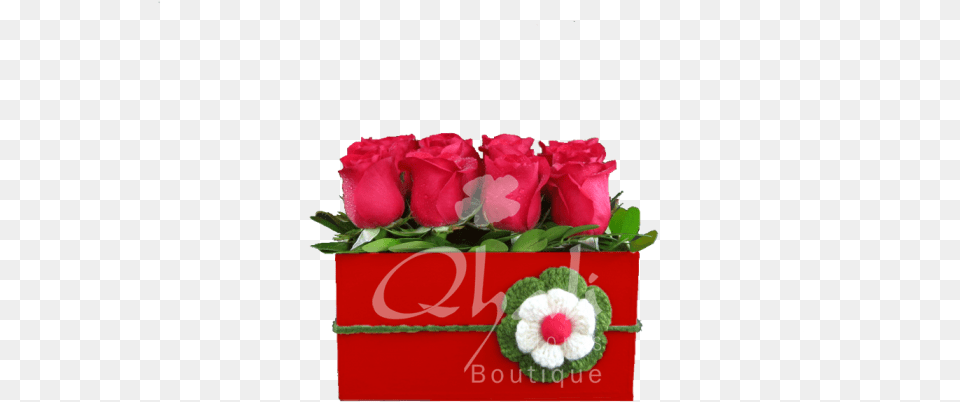 Y Desarrollo Por Hybrid Tea Rose, Flower, Flower Arrangement, Flower Bouquet, Plant Free Transparent Png
