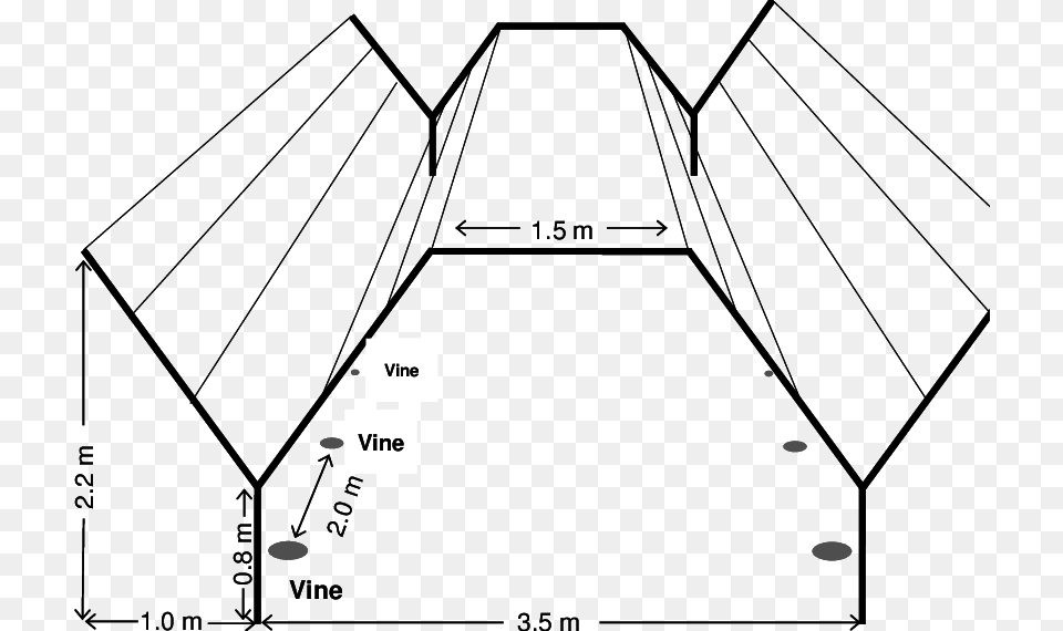 Y Trellis System In Grapes, Chart, Plot, Arch, Architecture Png Image