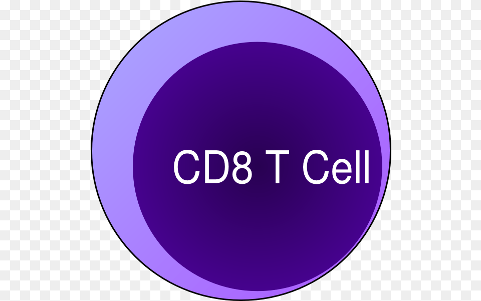 Yahoo Circle Logo Transparent Cartoon Jingfm Dot, Purple, Sphere, Disk Png Image