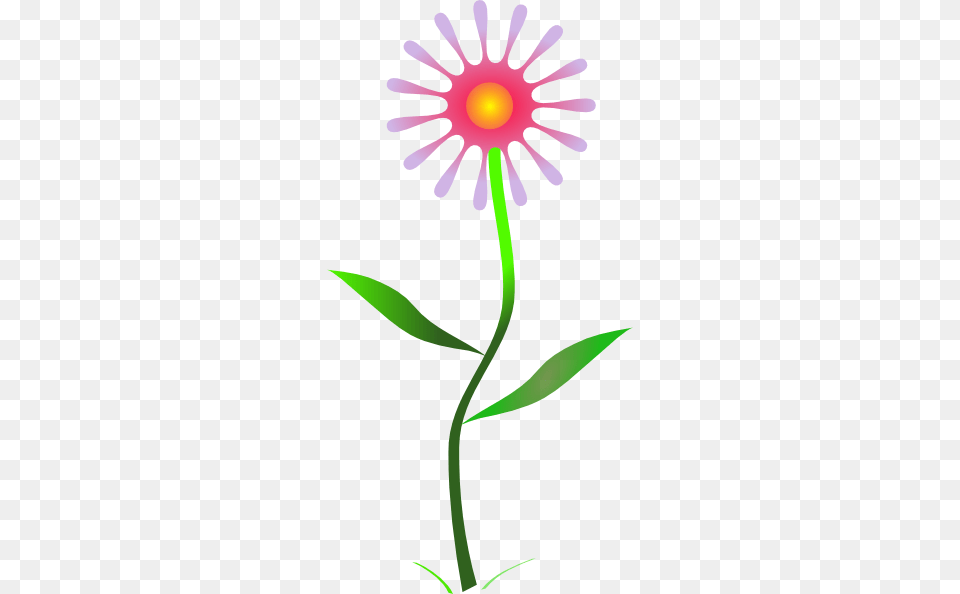 Yahoo Clipart Images, Daisy, Flower, Plant Png Image