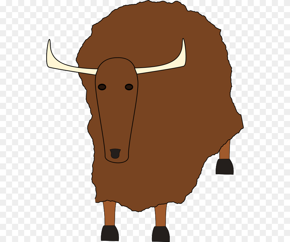 Yak, Animal, Mammal, Bull, Person Free Png