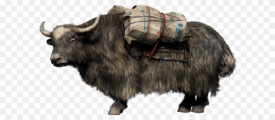 Yak Far Cry Game, Animal, Cattle, Livestock, Mammal Free Png Download