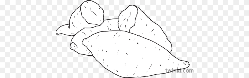 Yams Black And White Illustration Yam Black And White, Leaf, Plant, Animal, Fish Free Png Download