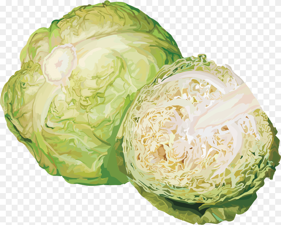 Yandeks Fotki Cabbage Transparent Background, Food, Leafy Green Vegetable, Plant, Produce Free Png Download
