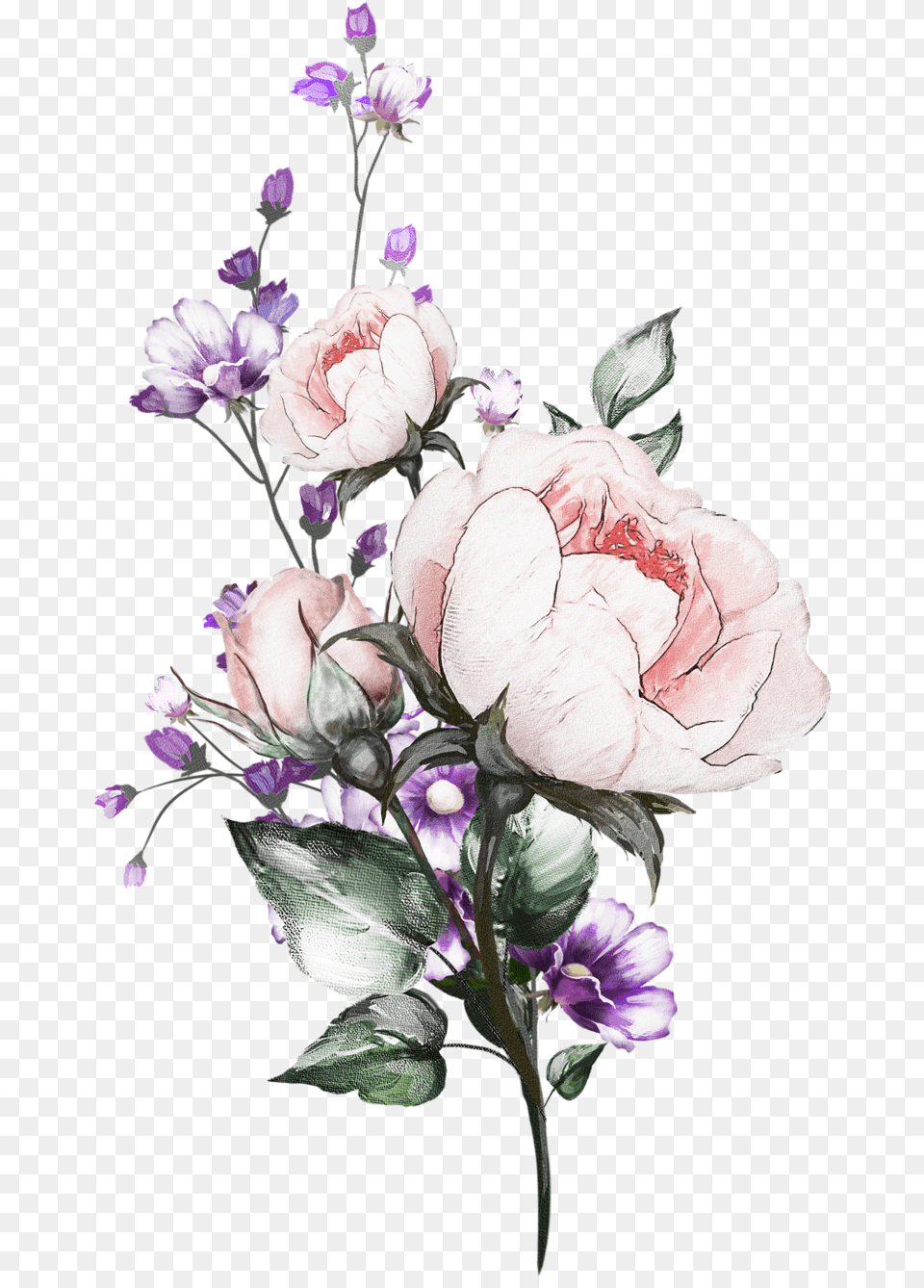 Yandeks Fotki Flower, Flower Arrangement, Flower Bouquet, Plant, Rose Free Png Download