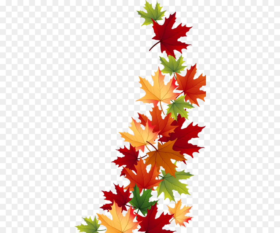 Yandeks Fotki More Fall Clip Art, Leaf, Plant, Tree, Maple Free Transparent Png