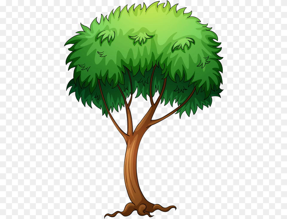 Yandeks Fotki Tree Cartoon, Vegetation, Green, Plant, Conifer Free Png Download