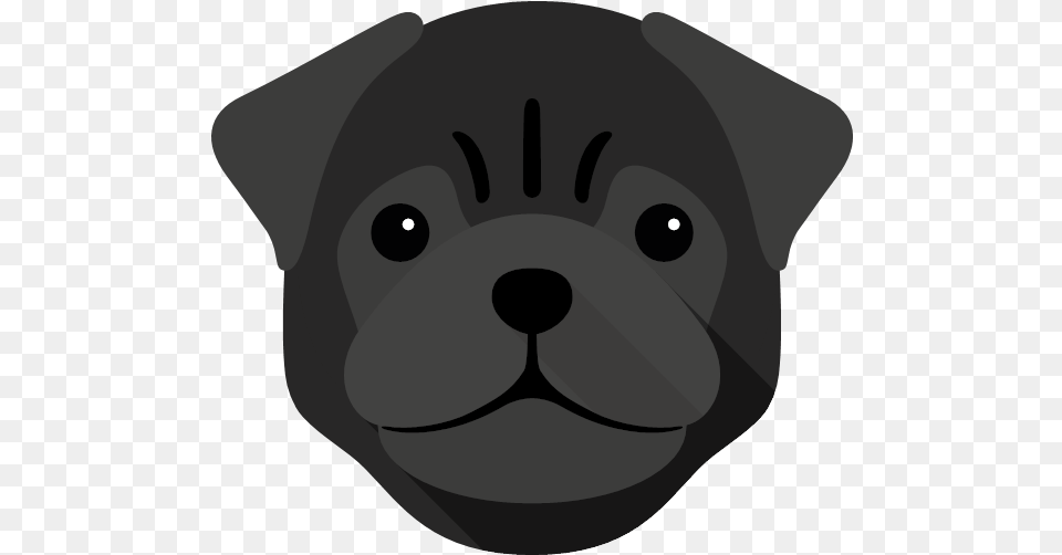 Yappicon Companion Dog, Snout, Animal, Canine, Mammal Free Transparent Png