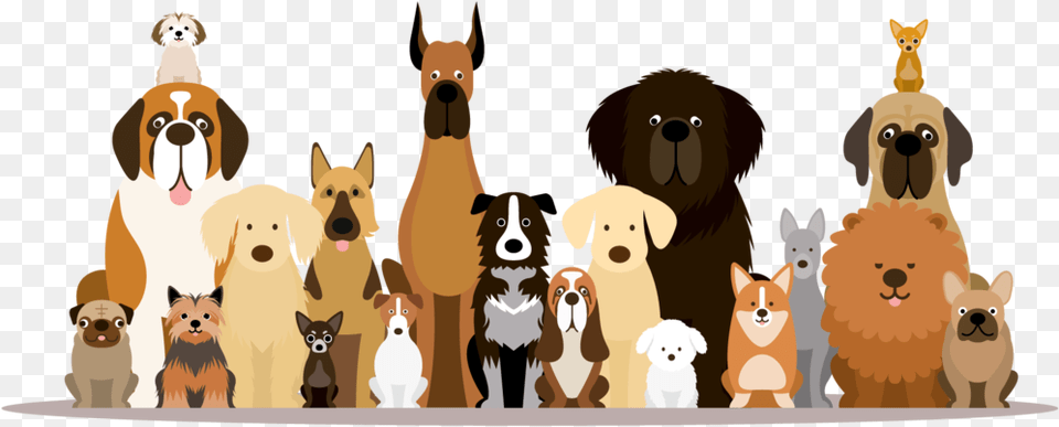 Yappy Hour Events, Animal, Canine, Dog, Hound Png