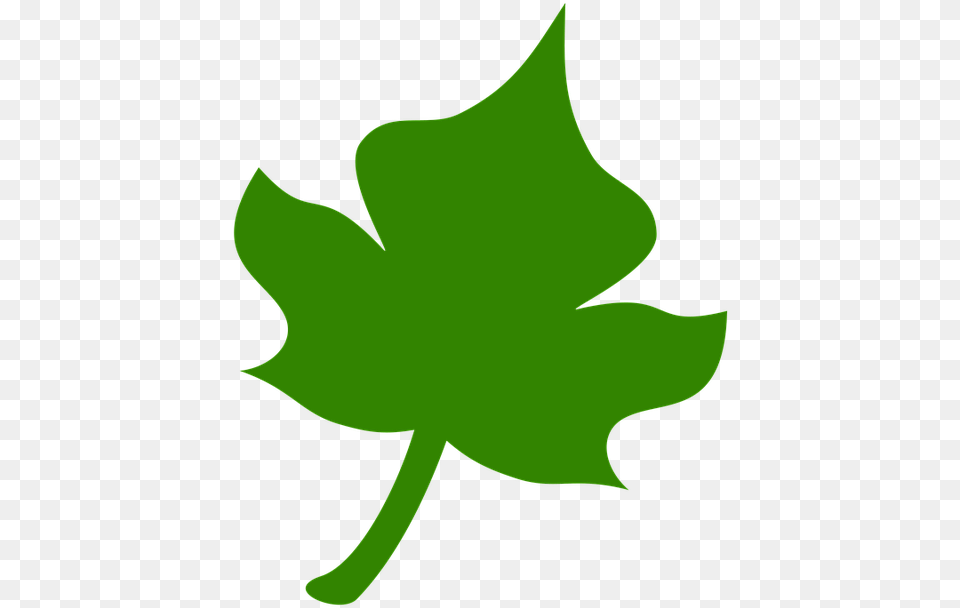 Yaprak Icon, Leaf, Plant, Maple Leaf, Tree Png