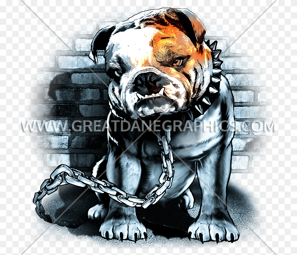 Yard Dog Mens Printed T Shirt Bull Dog Chain Animal Olde English Bulldogge, Bulldog, Canine, Mammal, Pet Png