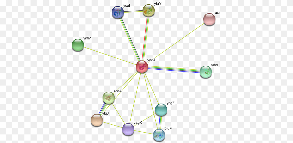 Ydej Protein Circle, Network, Chandelier, Lamp, Nature Png
