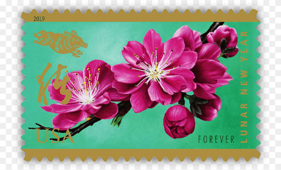 Year Of The Boar Stamp Greets Lunar New Year Forever Stamps Floral, Flower, Plant, Dahlia, Postage Stamp Png