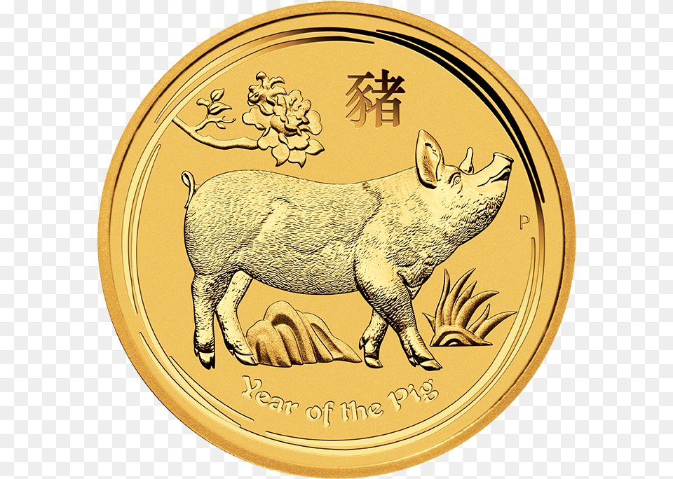 Year Of The Pig Coin, Gold, Animal, Mammal, Money Png Image