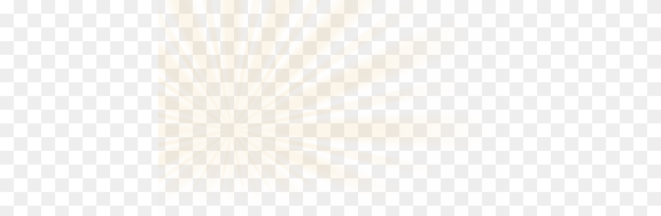 Year Round Releases Tan, Texture Png