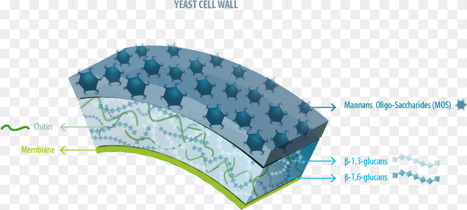 Yeast Product For Animal Nutrition Diagram, Nature, Outdoors Png