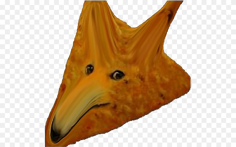 Yeeto Dorito Go Commit Self Deleato Doge Meme, Animal, Beak, Bird, Cat Png