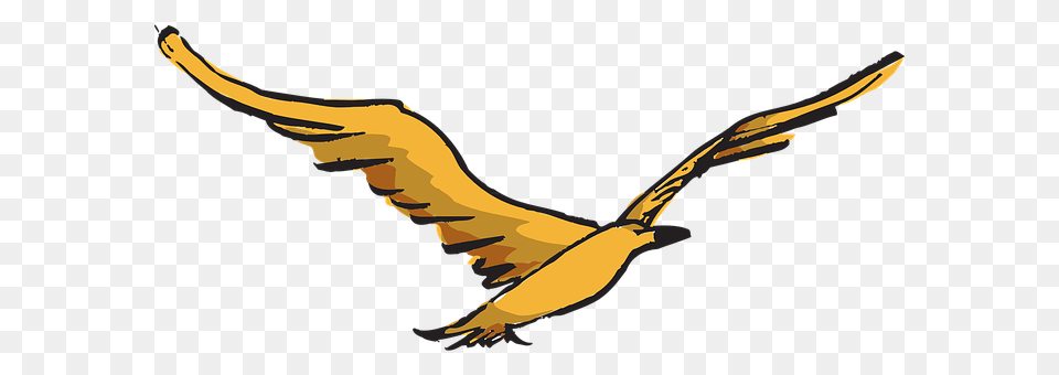 Yellow Animal, Bird, Flying, Kite Bird Free Png