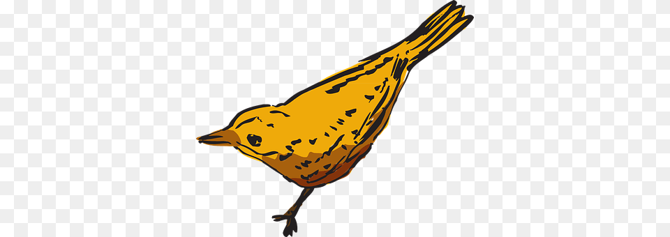 Yellow Animal, Bird, Finch, Canary Free Transparent Png