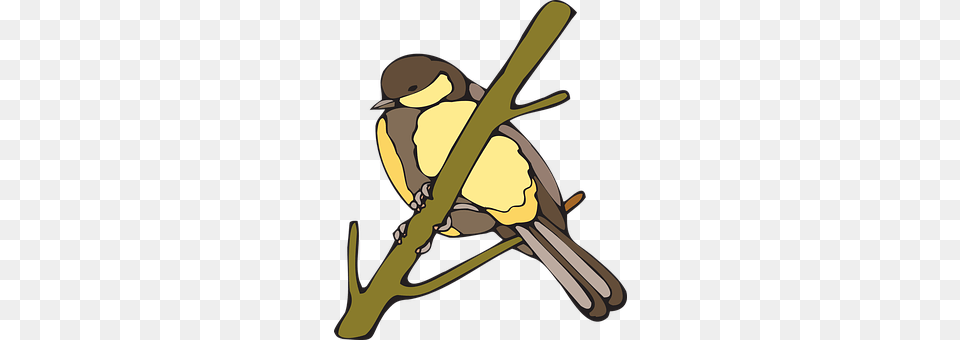 Yellow Animal, Bird, Finch Free Png