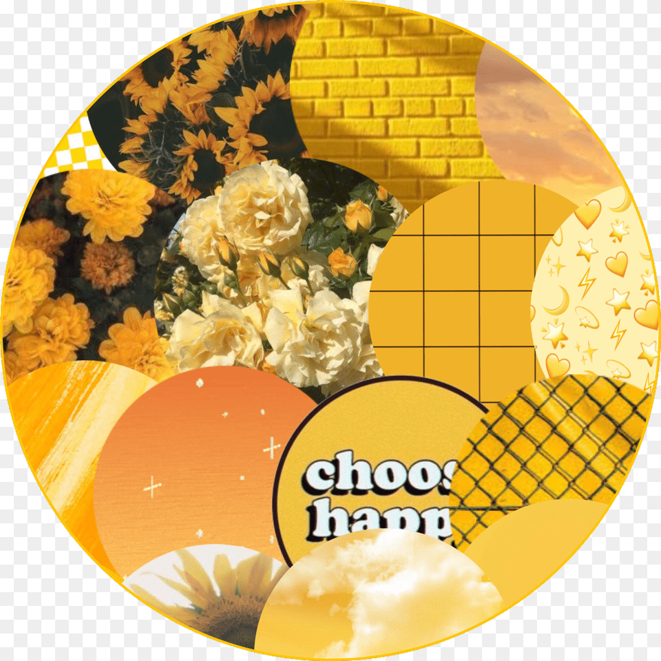 Yellow Aesthetic Background Choosehappy Sunshine Yellow Beige Background Aesthetic, Flower, Plant, Art, Graphics Png Image