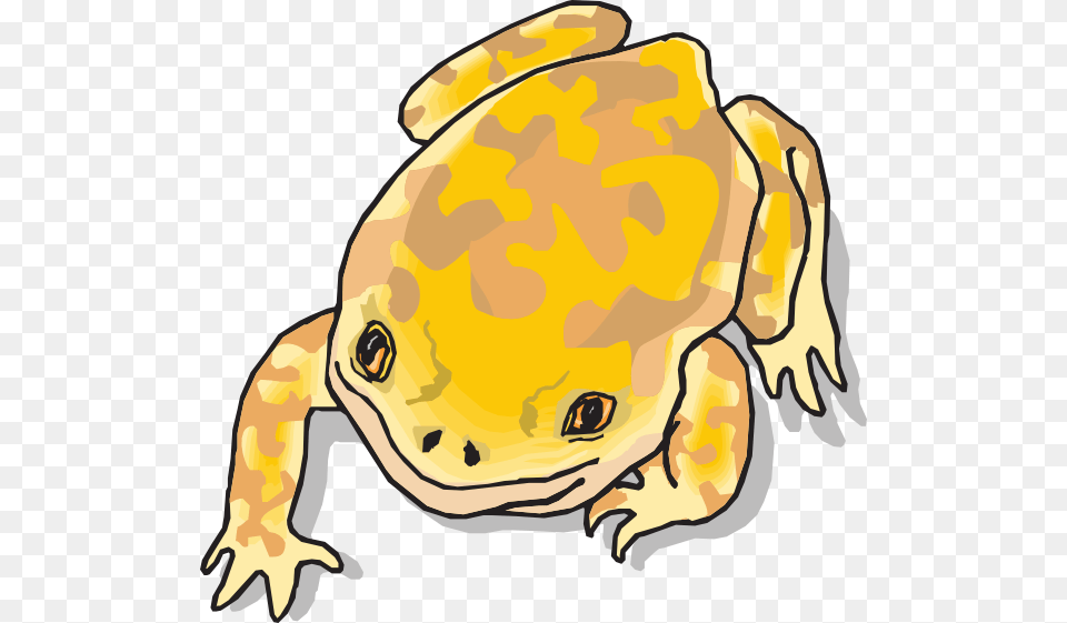 Yellow And Brown Frog Clip Arts Download, Animal, Wildlife, Amphibian, Toad Png Image