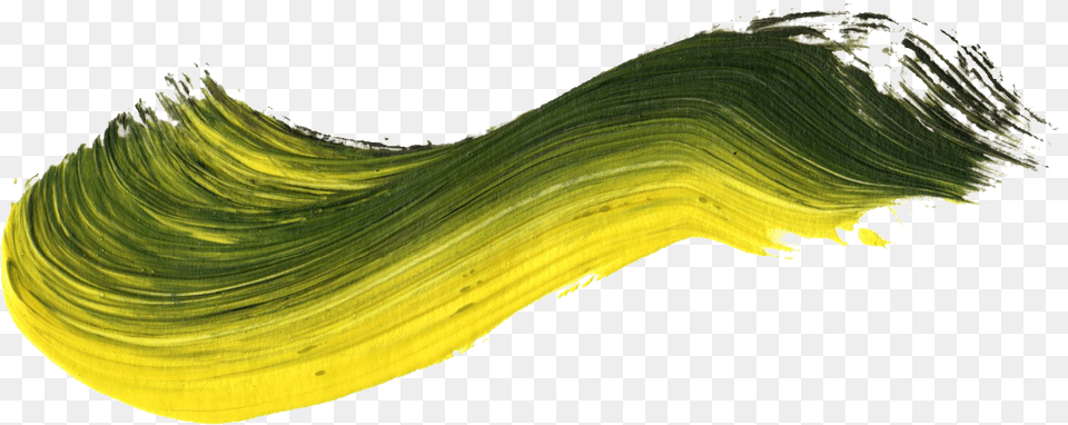 Yellow And Green Brush Stroke, Plant, Nature, Outdoors, Sea Free Transparent Png