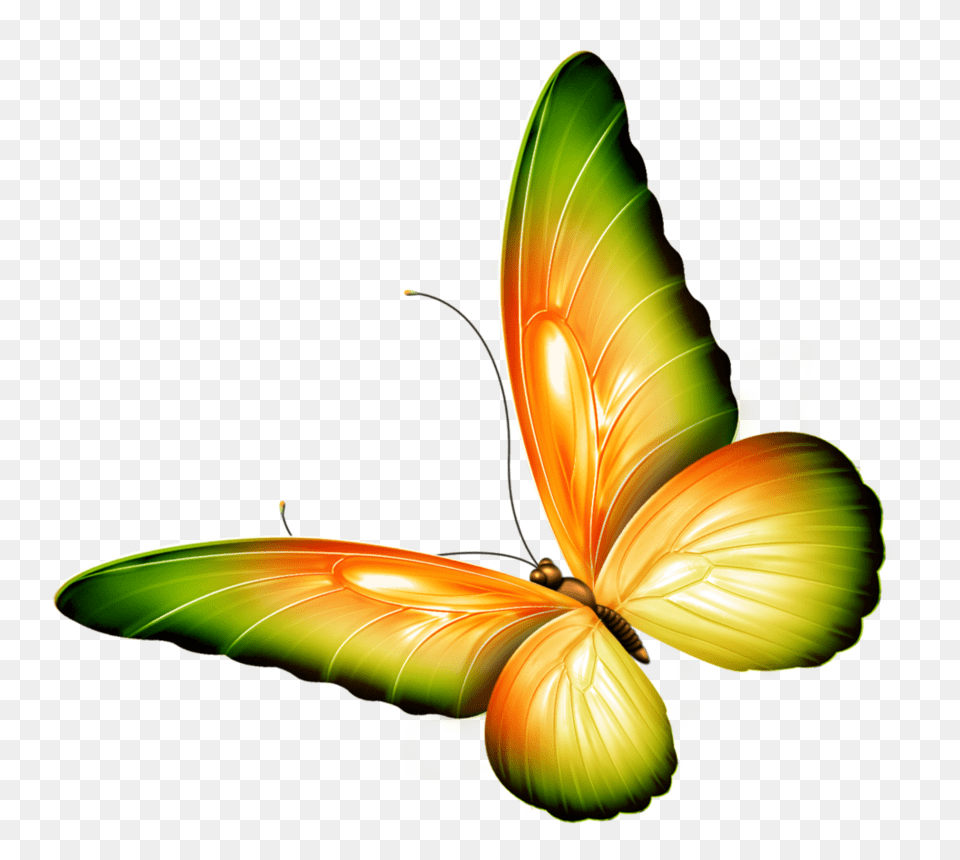 Yellow And Green Transparent Butterfly Clipart, Art, Graphics, Animal, Insect Png