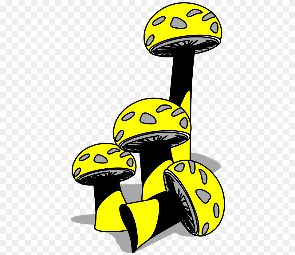 Yellow And Grey Mushrooms, Agaric, Fungus, Mushroom, Plant Free Png