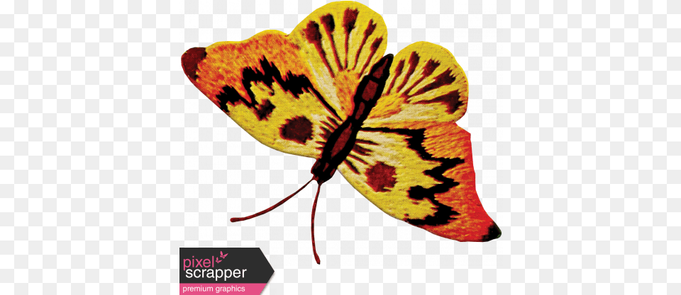 Yellow And Orange Butterfly Embroidery, Flower, Plant, Animal, Insect Png Image